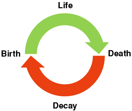 Jalkapalloelämän kiertokulku